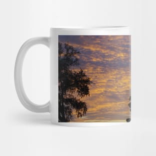 South Carolina Sunset Mug